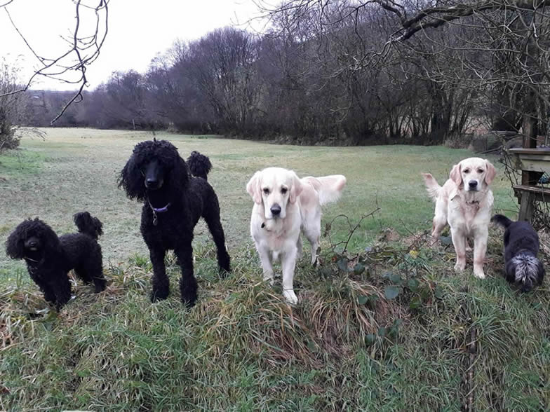 Friars Farm & The Birches